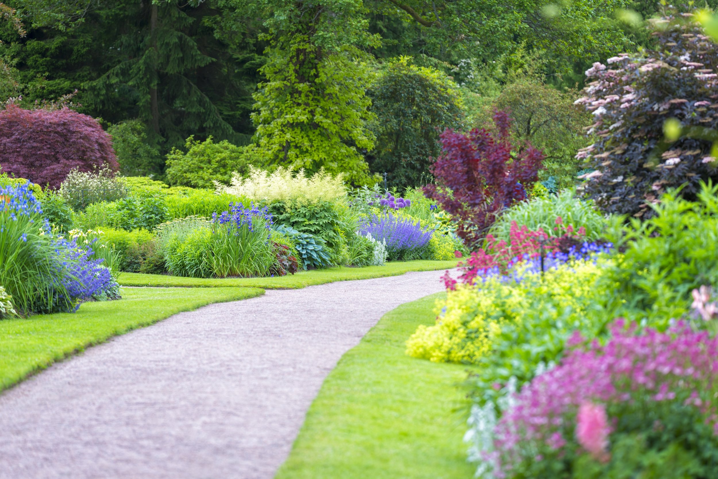 Beautiful-gardens-000085354431_Large+(1)
