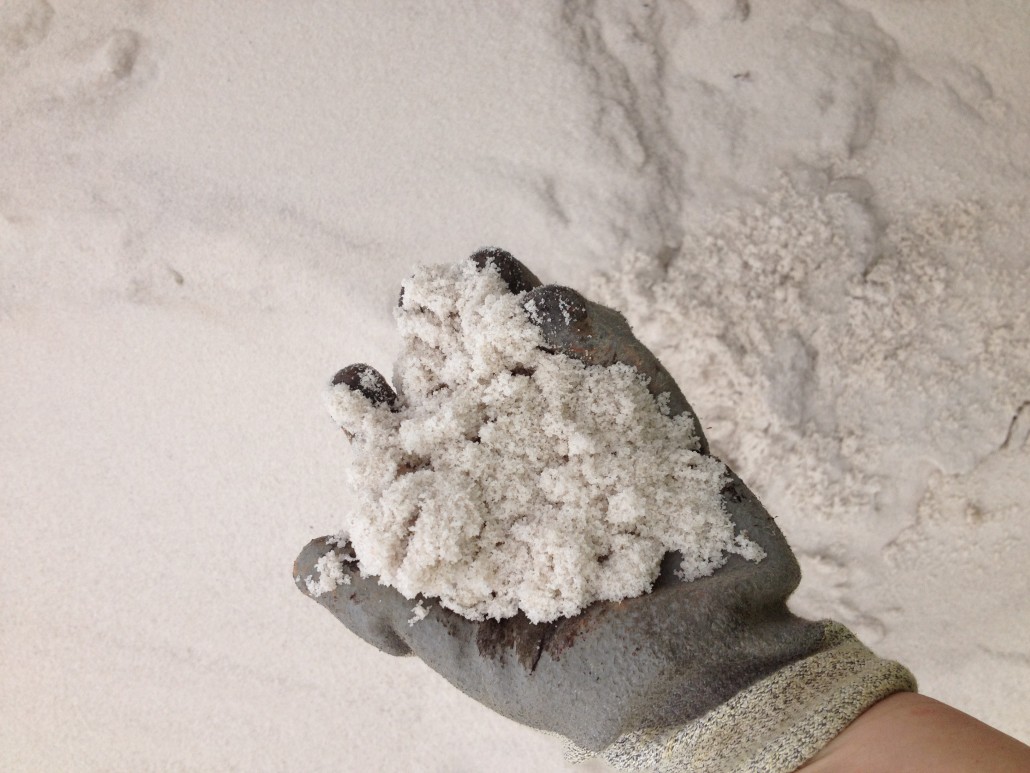 White Washed Sand - Rockingham Soils