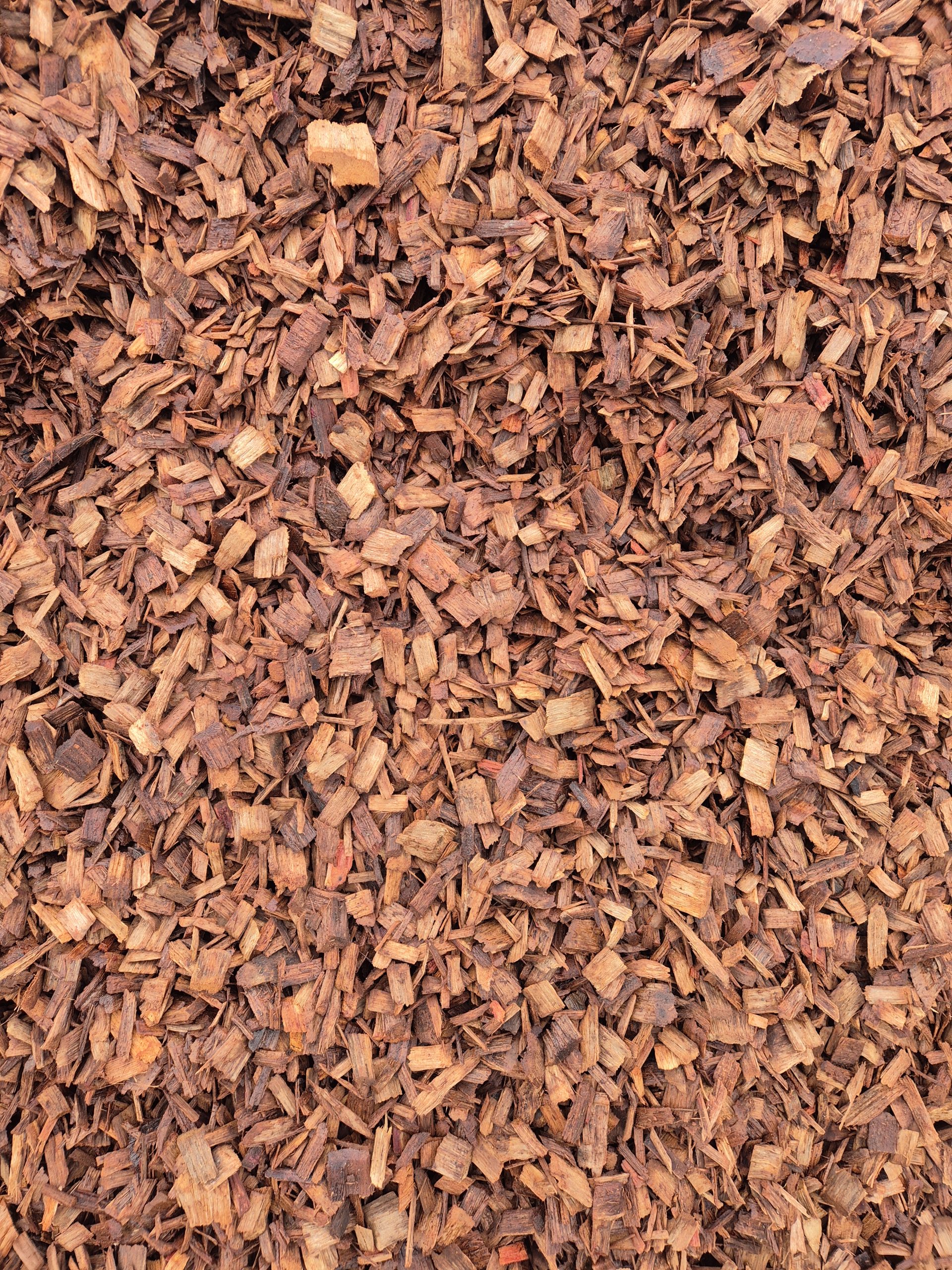 20250916_083259 (002)